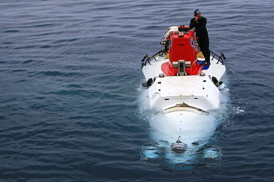 Seeing-Eye Diver