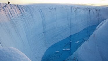 Carving a Scientific Niche