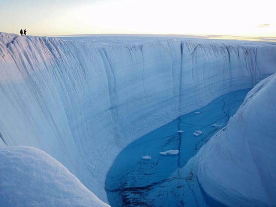 Carving a Scientific Niche