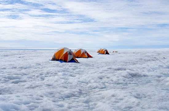 Cold Comfort
