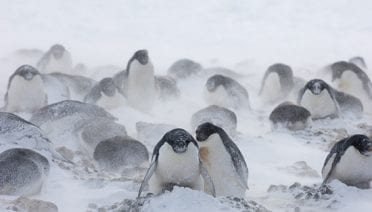 Hunkering Down