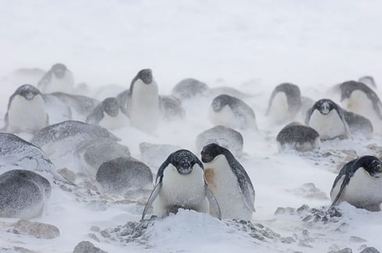 Hunkering Down