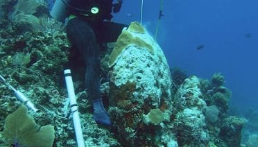 Drilling for Climate Clues