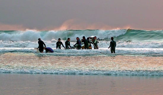 Surf's Up for Science