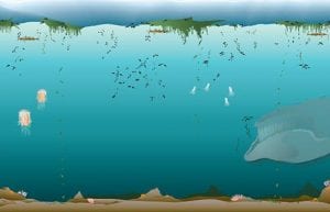 Will Climate Change Disrupt the Arctic Ecosystem?