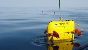 Into the Deep Blue Yonder