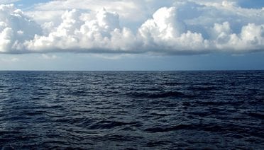 Water World