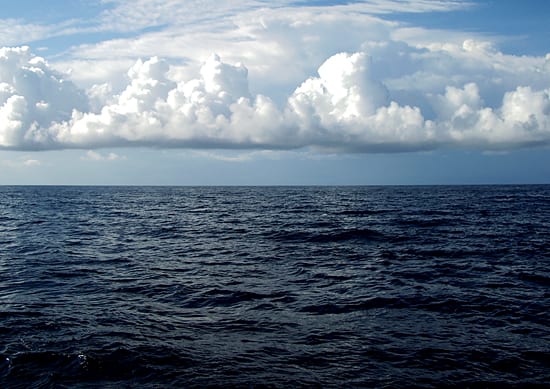 Water World