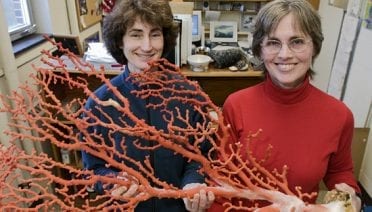 Corals Branching Out
