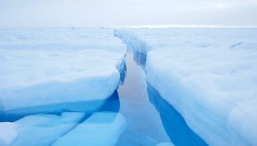 Ice Water