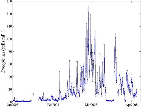 dinophysis_timeseries-sm_74337.jpg