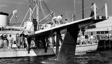 Flying Fish