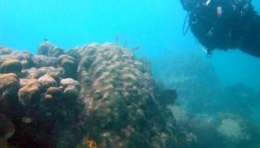 Blue Water, Red Sea