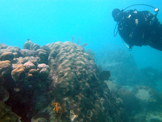 Blue Water, Red Sea