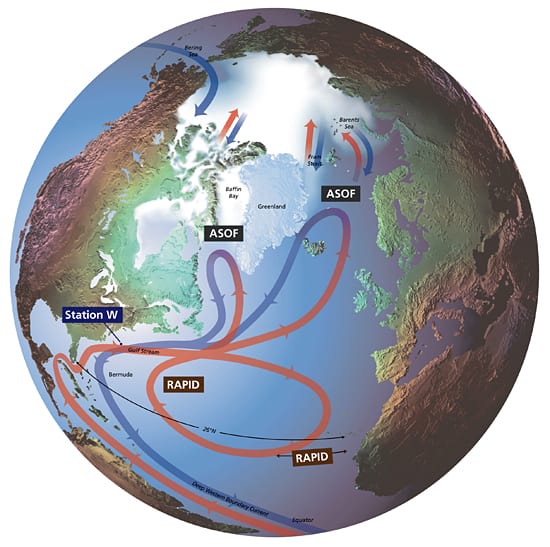 Seas in Motion