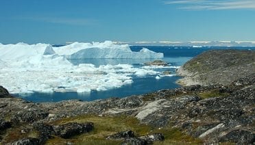Where icebergs roam free