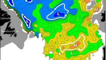 Deep Waters on the Move