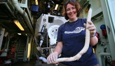 Giant worm from the deep sea