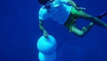 Buoys in the blue