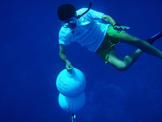 Buoys in the blue