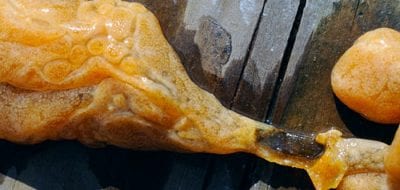 Invasion of the 'Alien Vomit'?