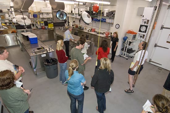 State-of-the-art tour