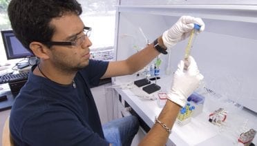 A summer of chemical investigation