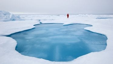 World of ice and water