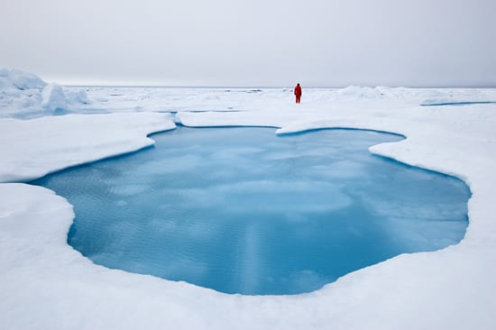 World of ice and water