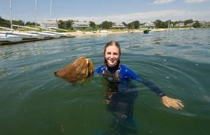 Shellfish's Mysterious Pathways to Adulthood