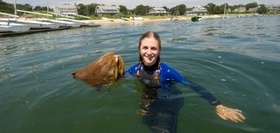 Shellfish's Mysterious Pathways to Adulthood