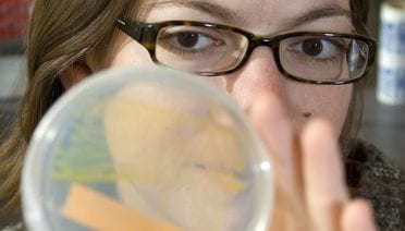 Bacterial conversations
