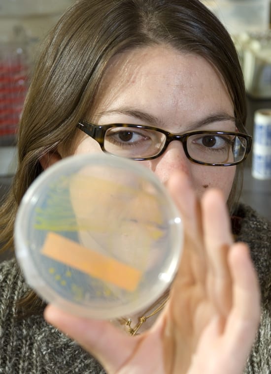 Bacterial conversations