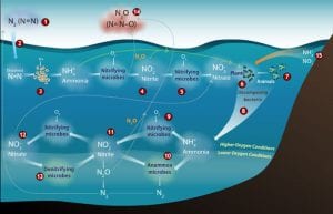 Another Greenhouse Gas to Watch: Nitrous Oxide
