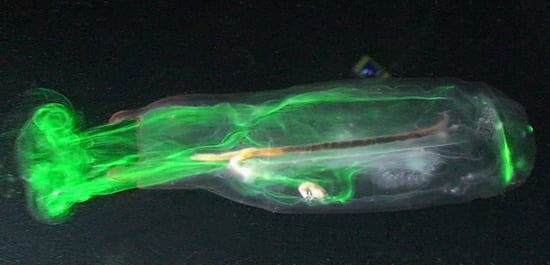 Jet-propelled Jelly