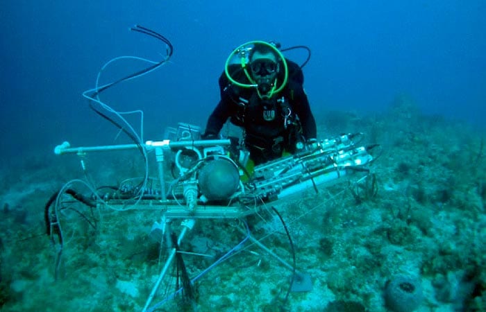 A Deep-sea Chemical-Sniffing Bloodhound