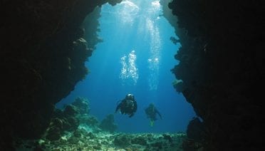 Searching for snapper fish