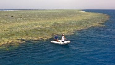 Reef's edge