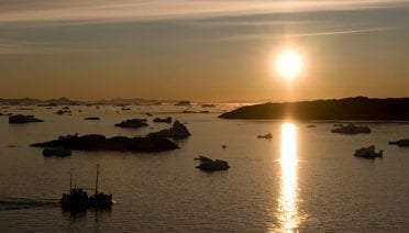 Arctic summer night