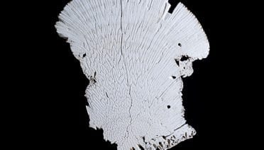 A slice through history