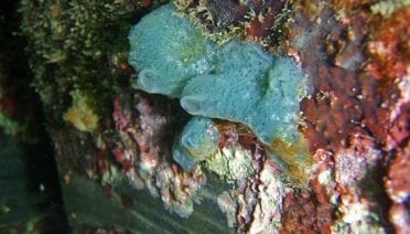 Real estate underwater