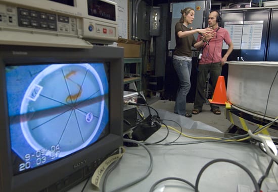 Laboratory and studio