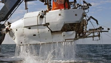 Workhorse of the sea