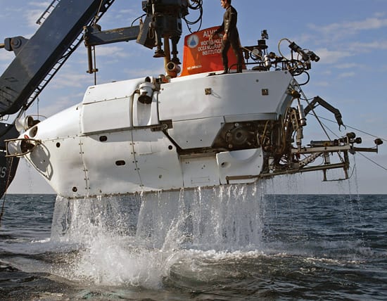 Workhorse of the sea