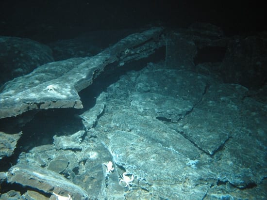 seafloor_86354.jpg
