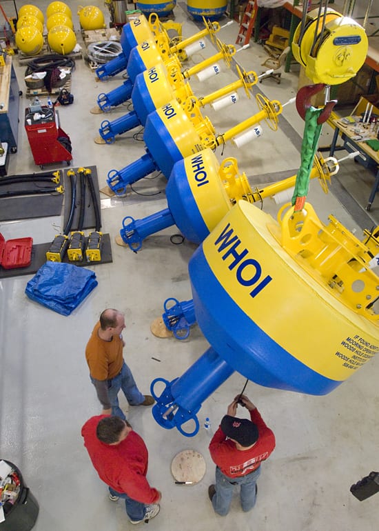 Whale of a Buoy