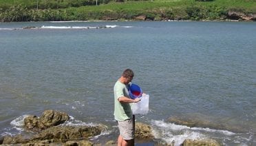 From a river to the ocean