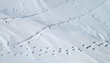 Coming and going