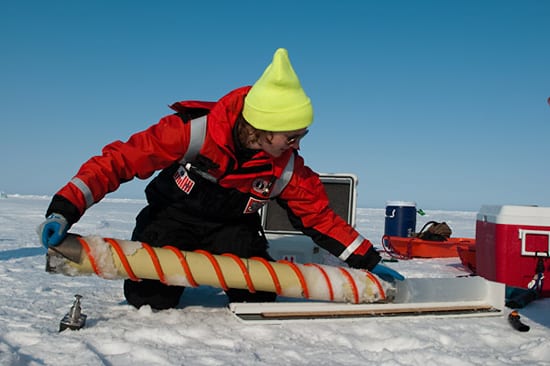Ice harvest