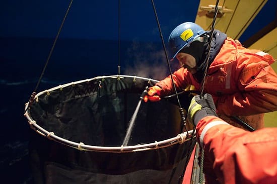 Spraying down copepods